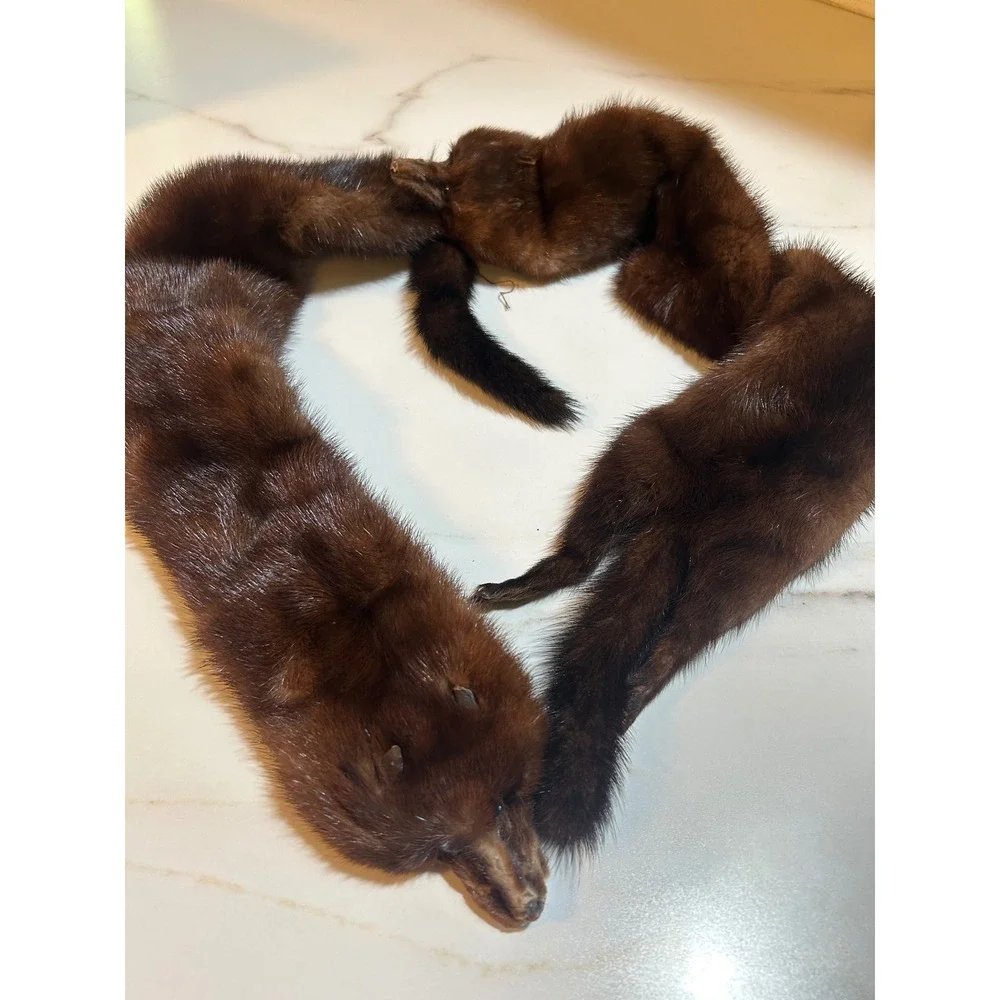 Vintage Simpsons Madison Mahogany Mink Fur 4 Pelt Stole Scarf Wrap Monogrammed